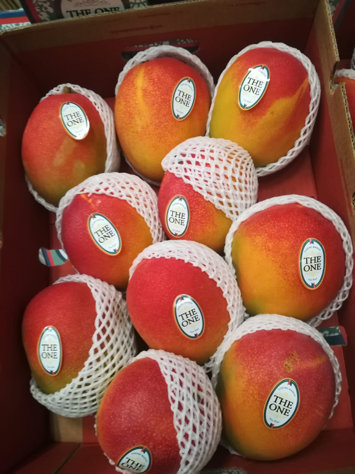 Mango The One | Vivaldifruits