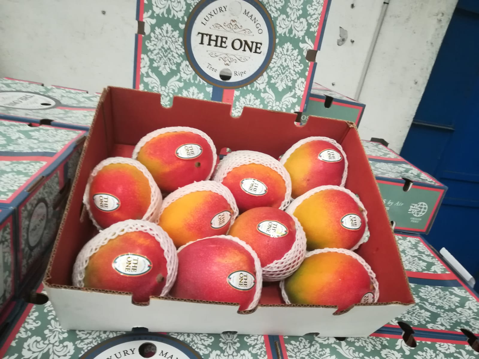 One The | Vivaldifruits Mango